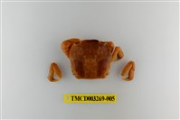 藏品(字纹弓蟹)的圖片